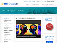 Tablet Screenshot of namigwinnett.org